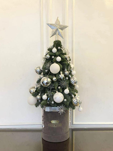 40cm Silver Tree