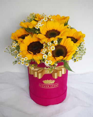 Sunflower Aria