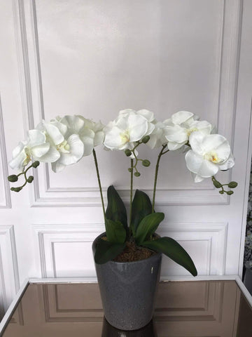 3 Faux Orchids