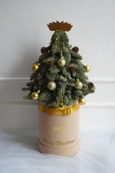 Fresh Christmas Pine Tree with Ornaments