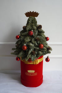 Fresh Christmas Pine Tree with Ornaments