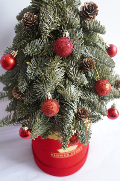 Fresh Christmas Pine Tree with Ornaments